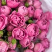 2d7077f8-2fa8-40f6-91b3-b14e1334df30-84113383.jpg.webp