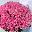a546c42d-405f-49b7-b404-a65a2828c915-41512889.jpg.webp