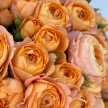 0ebe1a76-236f-434a-8c80-1e12bfdb9bec-89435877.jpg.webp