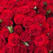 448f6591-6cd9-48c5-a143-be888648df34-33609122.jpg.webp