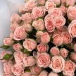 7c02a809-0420-4ce5-9c34-f60c251a17ef-79005841.jpg.webp