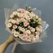 75e7eb6b-cd40-484a-b0f5-ce841af52a20-db1d2a8a-cb05-4e20-be46-3518a55f7103.jpg